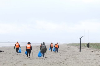collecting rubbish on a beach