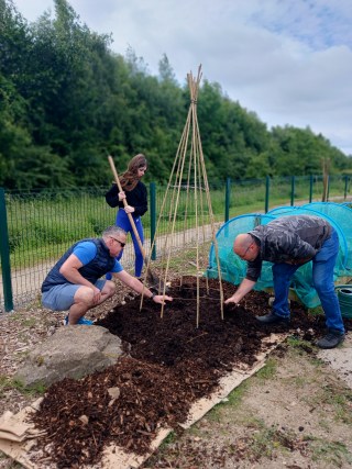 planting