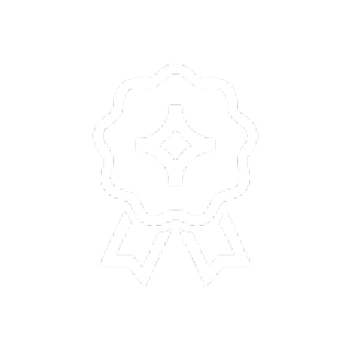 award ribbon icon